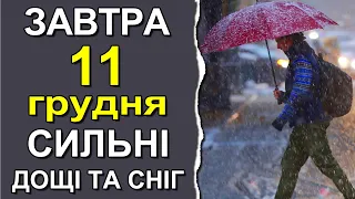 ПОГОДА НА ЗАВТРА: 11 ДЕКАБРЯ 2022 | Точная погода на день в Украине