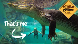 I swam with crocodiles!🐊 CAGE OF DEATH, CROCOSAURUS COVE, DARWIN 🐊 Backpacking Australia 🇦🇺