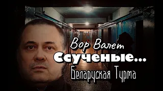 Ссученые