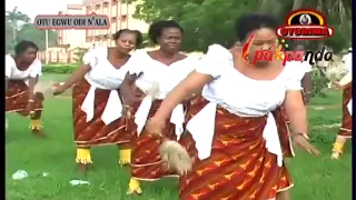 Cultural Dance Of Beautiful Women Of Eastern Nigeria