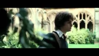 Harry Potter/Moves Like Jagger x