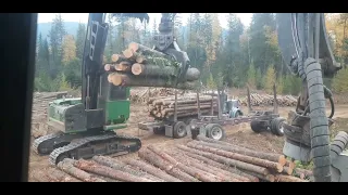 loading the log truck