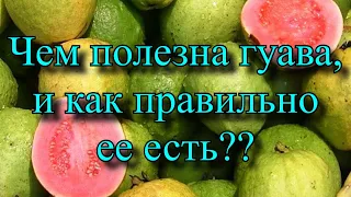 Чем полезна гуава и как правильно ее есть?