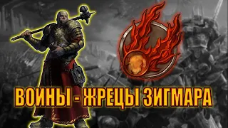 Воины жрецы Зигмара / Warhammer FB / Total War Warhammer 3.