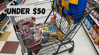 BUDGET WEEKLY GROCERY HAUL