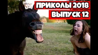 Лучшие приколы 2018 Июнь - Подборка приколов, ржака до слез угар прикол #12