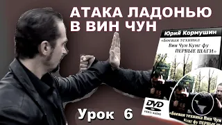 Вин Чун.Первые шаги | Урок 6. "Атака ладонью"| Юрий Кормушин