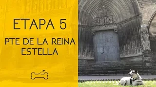 ETAPA 5: PUENTE DE LA REINA A ESTELLA | Camino de Santiago con perro