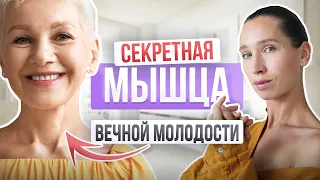 Омоложение лица за 14 ДНЕЙ | Кто тянет ЭТУ мышцу, тот молодеет прямо на глазах