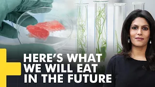 Gravitas Plus: Is lab food the future?