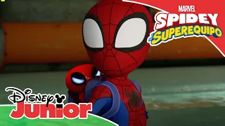 Marvel Spidey y su superequipo: Como auténticos superhéroes | Disney Junior Oficial