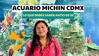 ACUARIO MICHIN CDMX: Esto cuesta y así es el acuario ¡más grande de Latinoamérica!