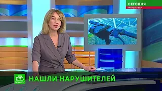 В Петербурге задержаны самокатчики, таранившие пешеходов на Невском