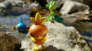 Pokémon Figure Review: Generation 3 box set, Treecko, Torchic, and Mudkip "Hoenn Region" Ep. 3