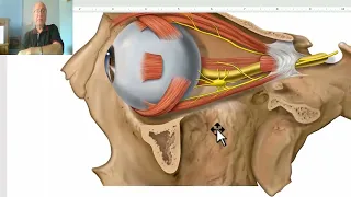 Anatomy of head and neck module in Arabic 36 (Ciliary ganglion) , by Dr. Wahdan