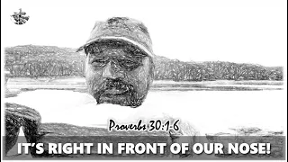 Proverbs 30:1-6 ... IT'S RIGHT IN FRONT OF OUR NOSE! | Pastor George Nemec