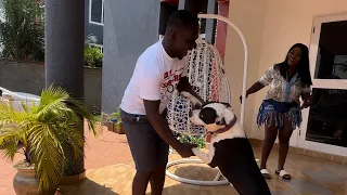 Sista Afia just moved to a new house in Accra and Zionfelix went to visit her but her dog scared him