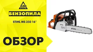 Обзор Бензопила STIHL MS 250