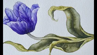 Unleash Your Creativity: Step-by-Step Watercolor Tutorial for Tulip Painting