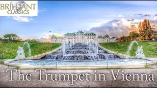 The Trumpet in Vienna