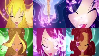 Winx Club All The Transformations In Split Screen HD! | Bloom Peters