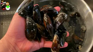 no gym and still mussels! Mussels the Dutch way