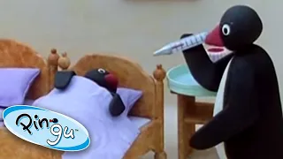 Pingu Pretends to Be Sick | Pingu Official | Cartoons for Kids