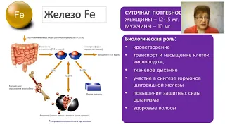 Wellness ВИТАМИНЫ И МИНЕРАЛЫ  вебинар с Еленой Демченко  26 04 2018