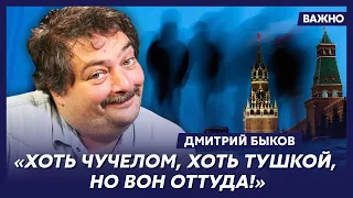 Быков о маньяке Белоусове, звере Пригожине и главном могильщике России