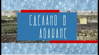 Сделано в Абакане// Семейный развлекательный центр: крытый веревочный парк - Абакан 24