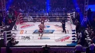 Александр Емельяненко vs Константин Глухов, Emelianenko vs. Glukhov, M-1 Challenge 34