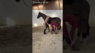 Girls dance with beautiful  horse