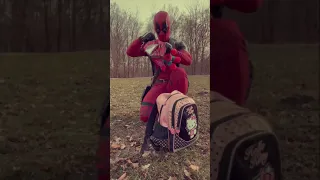 Spiderman Vs Deadpool Pt. 4! Like and follow for more ❤️💙 #shorts