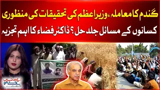 Wheat Crisis in Pakistan | PM Orders Inquiry into wheat's Import Matter | Dr Fiza Khan Analysis