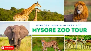 Mysore Zoo Tour | Mysore Zoo Animals | Mysore Zoo Park | Mysore Zoo Full Tour |Mysore Tourist Places