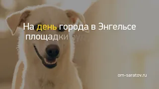 Новость дня: "Краевед призывает власти сохранить еще оди..." и другие главные новости за 2019-07-30