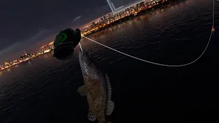 Real VR Fishing Han River - South Korea