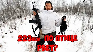 Сайга в калибре 223rem рвет птицу? или НЕТ? Смотрим!