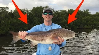 Catching Redfish, Snook, and Trout back in Bull Bay and Turtle Bay (Florida flats fishing)