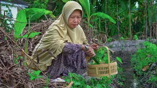 Memetik dan Memasak Sayur Lompong | Ayam Blenes, Sambal Jabrik, Besono Goreng, dan Minum Wedang Uwuh