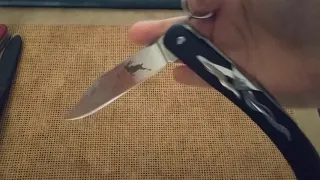 Cold Steel Kudu - one hand closing