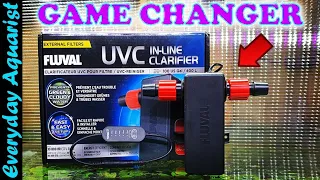Fluval UVC In-Line AQUARIUM CLARIFIER | Complete UNBOXING & REVIEW