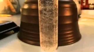Epsom Salt Crystal Formation