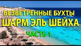 Безветренные бухты Шарм-Эль-Шейха - сезон 2019-2020 - 1 Часть