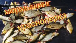 Neoline 0.1-2/Мормышинг/Краснопёрка на спиннинг с лодки/Полный отрыв/