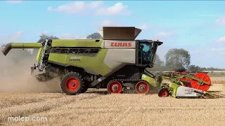 Harvest 2022: Claas Lexion 8900 TT in spring barley