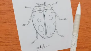 How To Draw Ladybug Easy Tutorial آموزش نقاشی کفشدوزک آسان