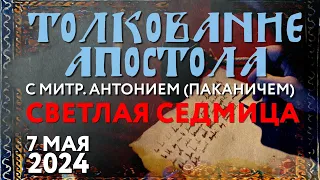 Светлая седмица. Вторник. 7 мая 2024 года. Толкование Апостола с митр. Антонием (Паканичем).