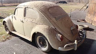 FIRST WASH in 25 YEARS | Forgotten Barn Find - 1964 VW Beetle 1st Wash