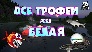 🔴РУССКАЯ РЫБАЛКА 4 (RUSSIAN FISHING 4)🔴 - ВСЕ ТРОФЕИ РЕКА БЕЛАЯ. ПОЧЁТНЫЙ РЫБОЛОВ.